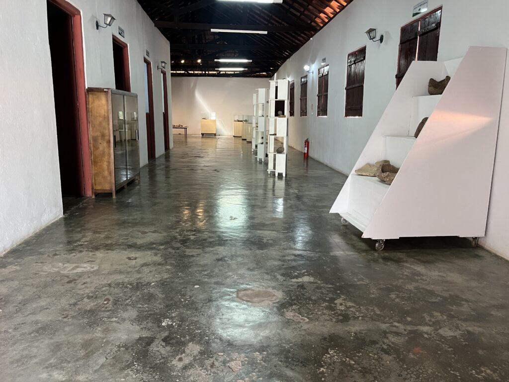 Corredor amplo de galeria de museu com vitrines, expositores móveis e paredes brancas, iluminação no teto de madeira aparente e janelas laterais com portas de madeira.