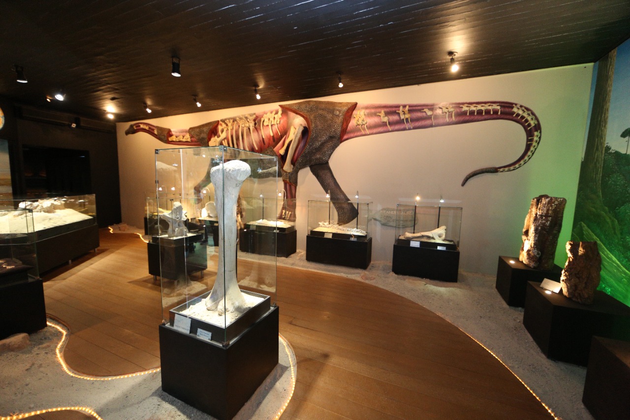 Museu dos Dinossauros Universidade Federal do Triângulo Mineiro – UFTM ...