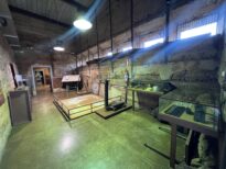 Foto: Daiana Larissa Santa - ASCOM Prefeitura de Sarzedo.