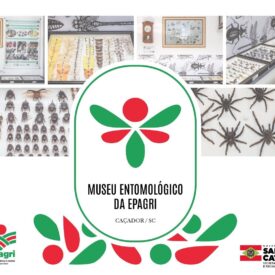 Museu Entomológico da Epagri