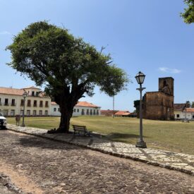 Imagem de um caminho de pedras com árvores e, ao fundo, uma ampla praça. À esquerda, um conjunto de dois edifícios que é o Museu de Alcântara.