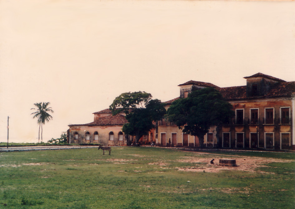 Fotografia histórica colorida de casarão de dois andares com um terceiro apresentando mansardas. Nota-se a fachada com pintura desgastada pelo tempo, com portas no térreo e janelas com sacadas, no andar superior. À frente do edifício, há um gramado com um poço de alvenaria no centro e uma árvore de grande porte parcialmente encobrindo a fachada.