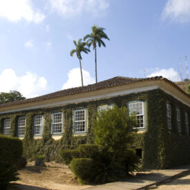 Fotografia da vista lateral do edifício principal do Museu Casa da Hera. A construção apresenta fachada revestida por vegetação trepadeira, cobertura em telhado de quatro águas com telhas cerâmicas e uma sequência rítmica de janelas de madeira com moldura verde e esquadrias brancas. A base do edifício está elevada em relação ao solo, acessada por escada visível à direita. Em primeiro plano, há vegetação ornamental podada e uma área de solo em terra.