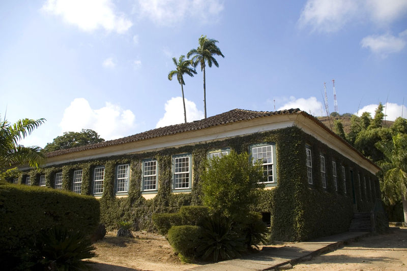 Fotografia da vista lateral do edifício principal do Museu Casa da Hera. A construção apresenta fachada revestida por vegetação trepadeira, cobertura em telhado de quatro águas com telhas cerâmicas e uma sequência rítmica de janelas de madeira com moldura verde e esquadrias brancas. A base do edifício está elevada em relação ao solo, acessada por escada visível à direita. Em primeiro plano, há vegetação ornamental podada e uma área de solo em terra.